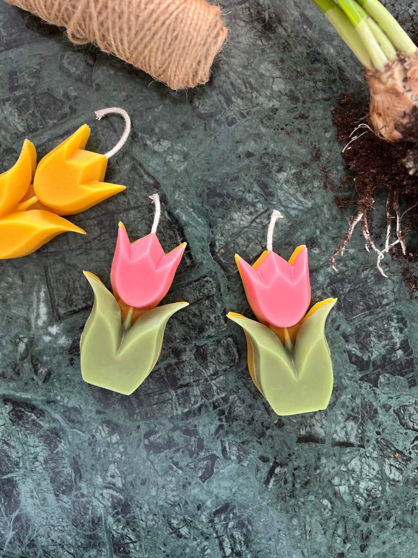 Flerfargede bivokslys formet som tulipaner. Naturlig pynt til påske. 100% bivoks.