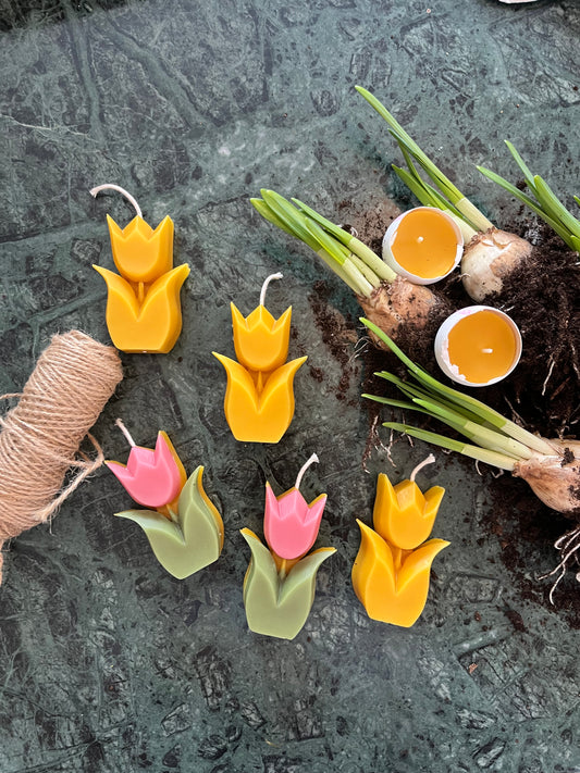 Bivoks tulipan | naturlig vårpynt