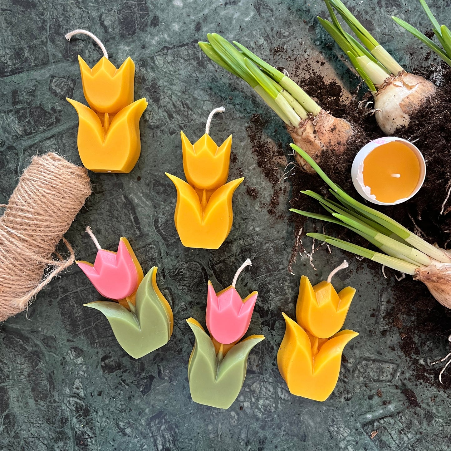 Bivokslys formet som tulipaner. Naturlig pynt til påske. 100% bivoks.