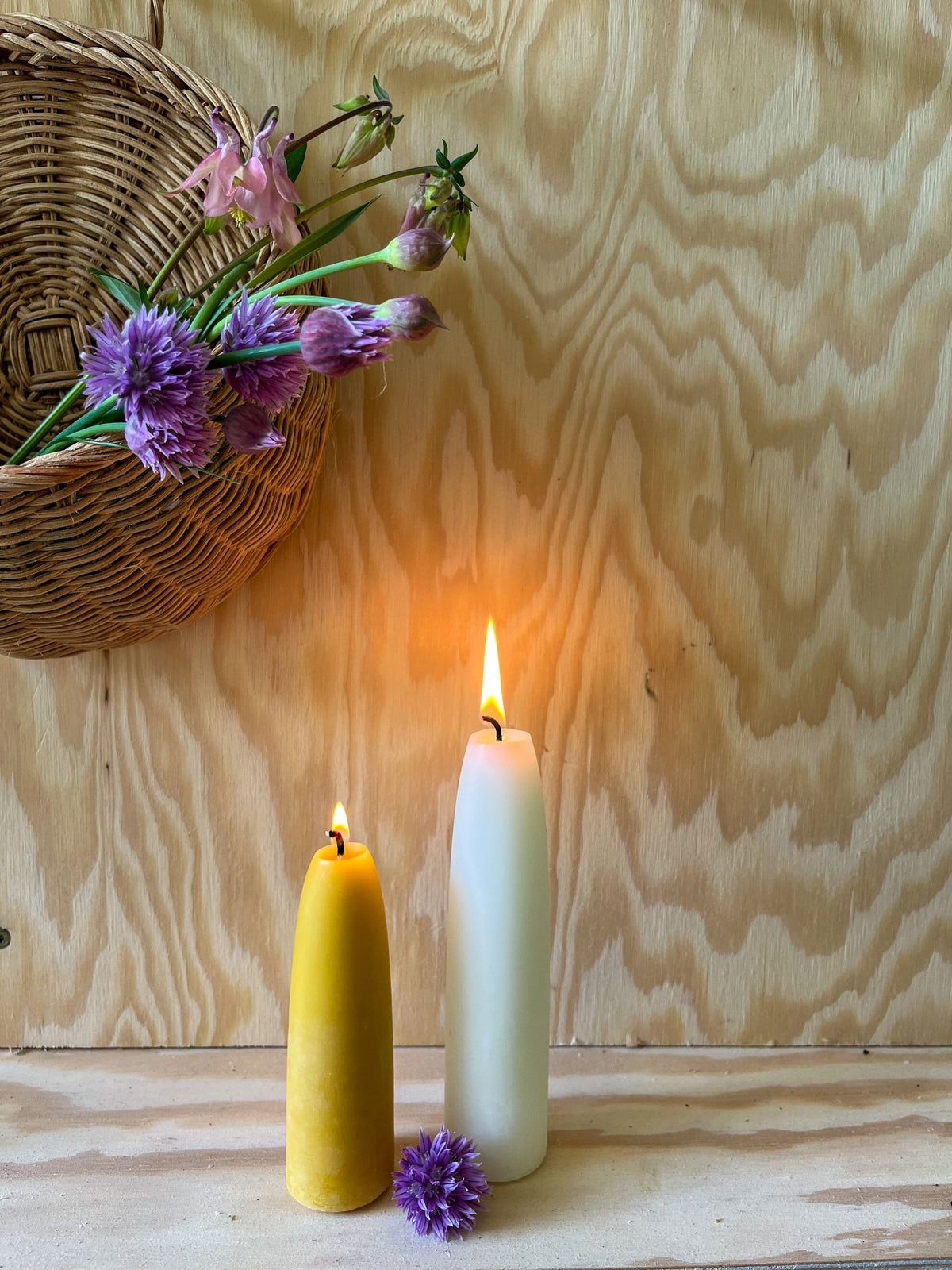 Lyskuppel "stubby candles" | 100% bivoks - eld naturlys